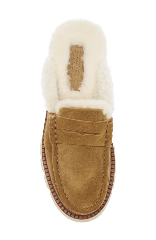 Pedro Garcia Savy Shearling-lined Platform Mules In Brown