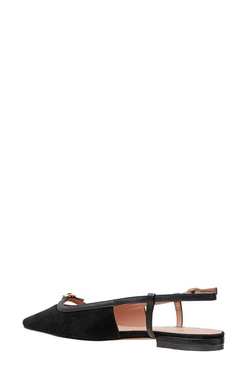 Linea Paolo Cassidy Pointed Toe Slingback Flat In Black