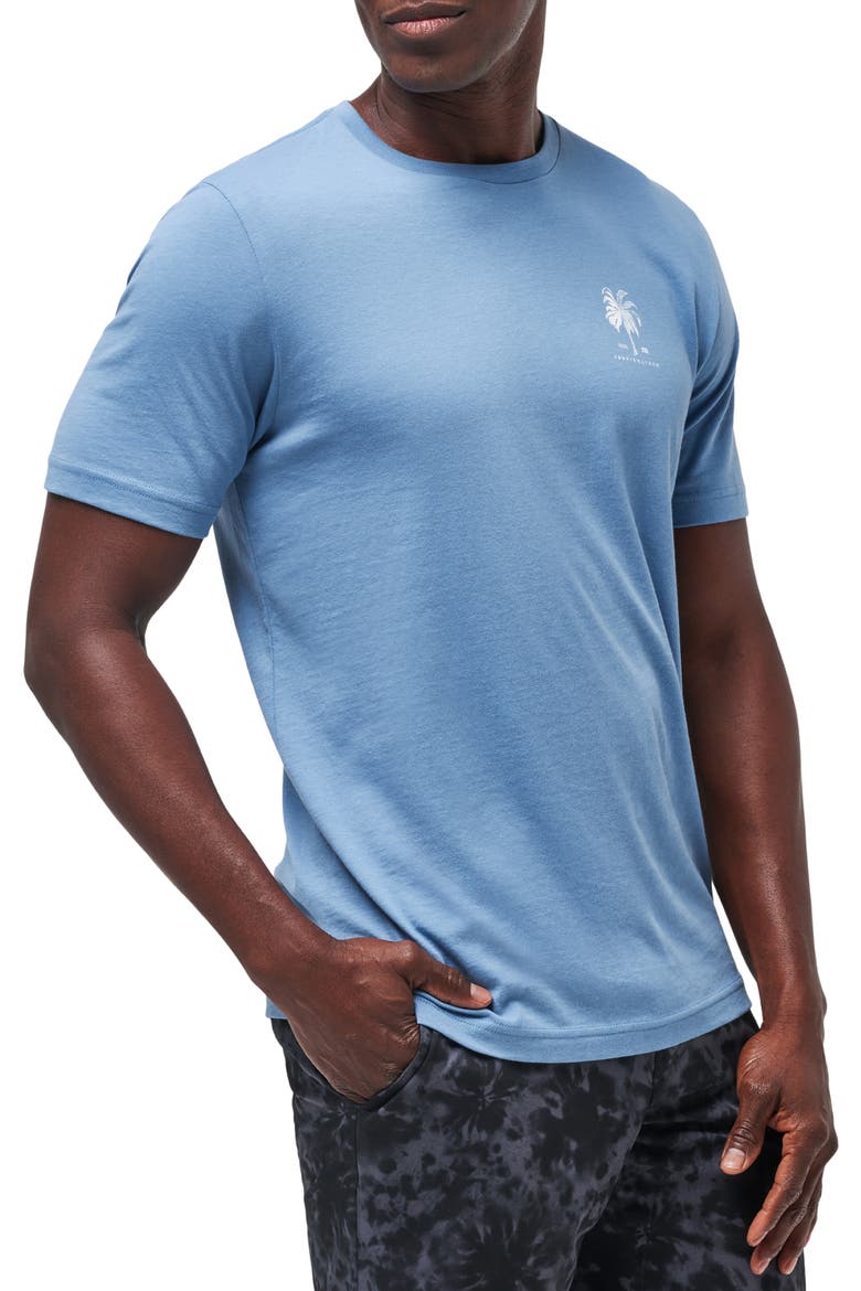 Palm Grass Graphic T-Shirt, Alternate, color, CORONET