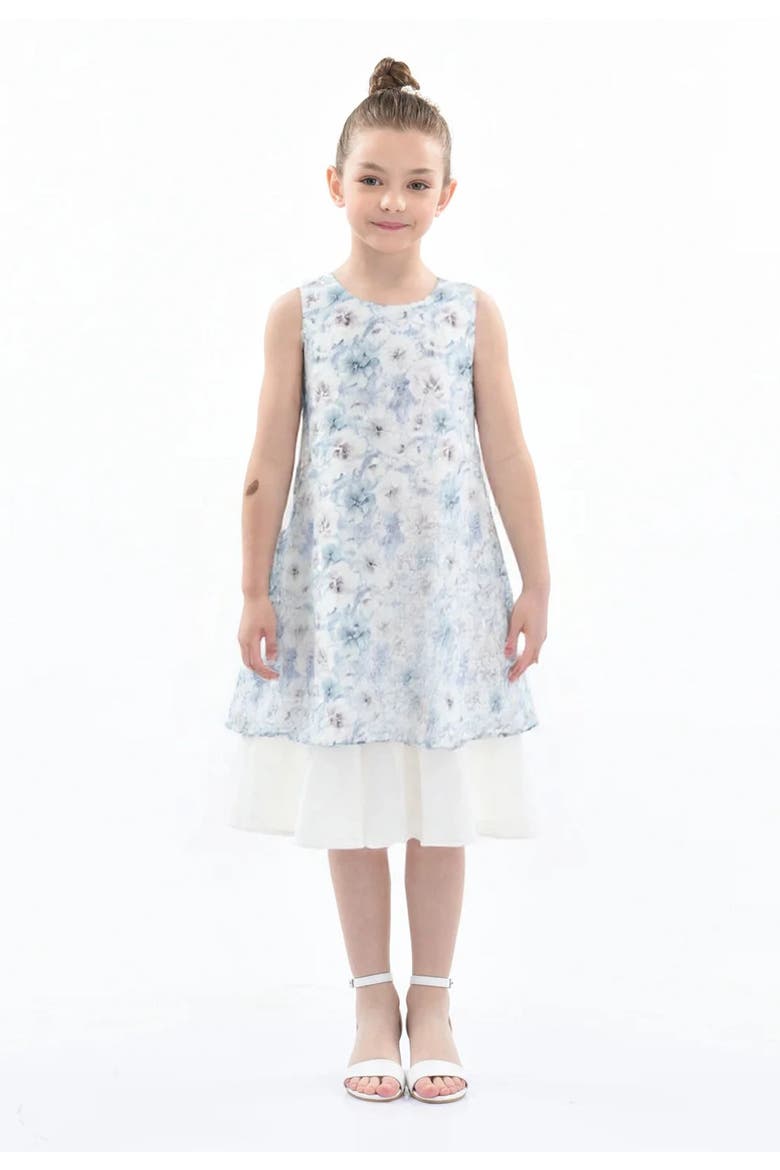 Floral Sleeveless Layered Dress, Alternate, color, Blue