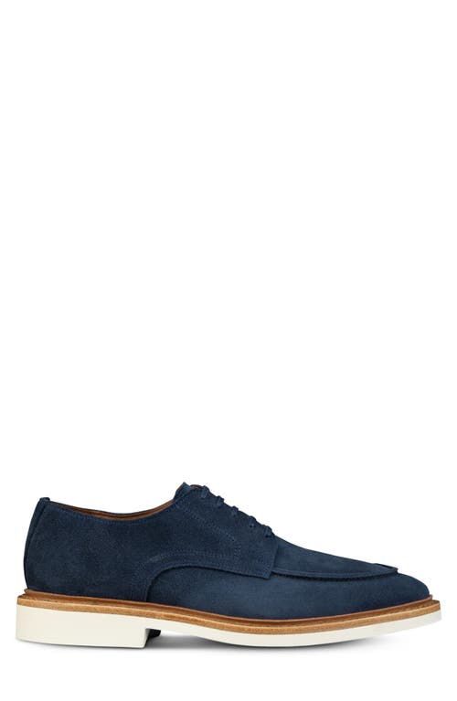 Allen Edmonds Waylon Derby In Navy