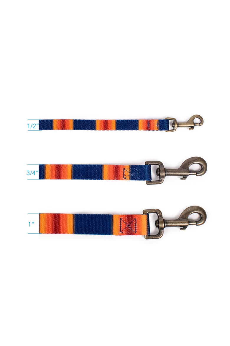 National Park Adventure Leash, Alternate, color, GRAND CANYON
