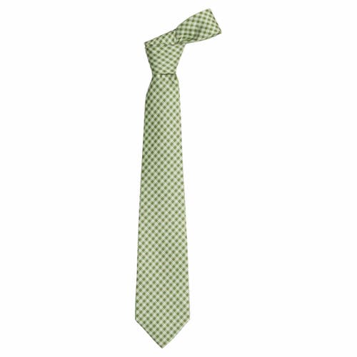 Little English Kids' Neck Tie in Watercress Gingham 
