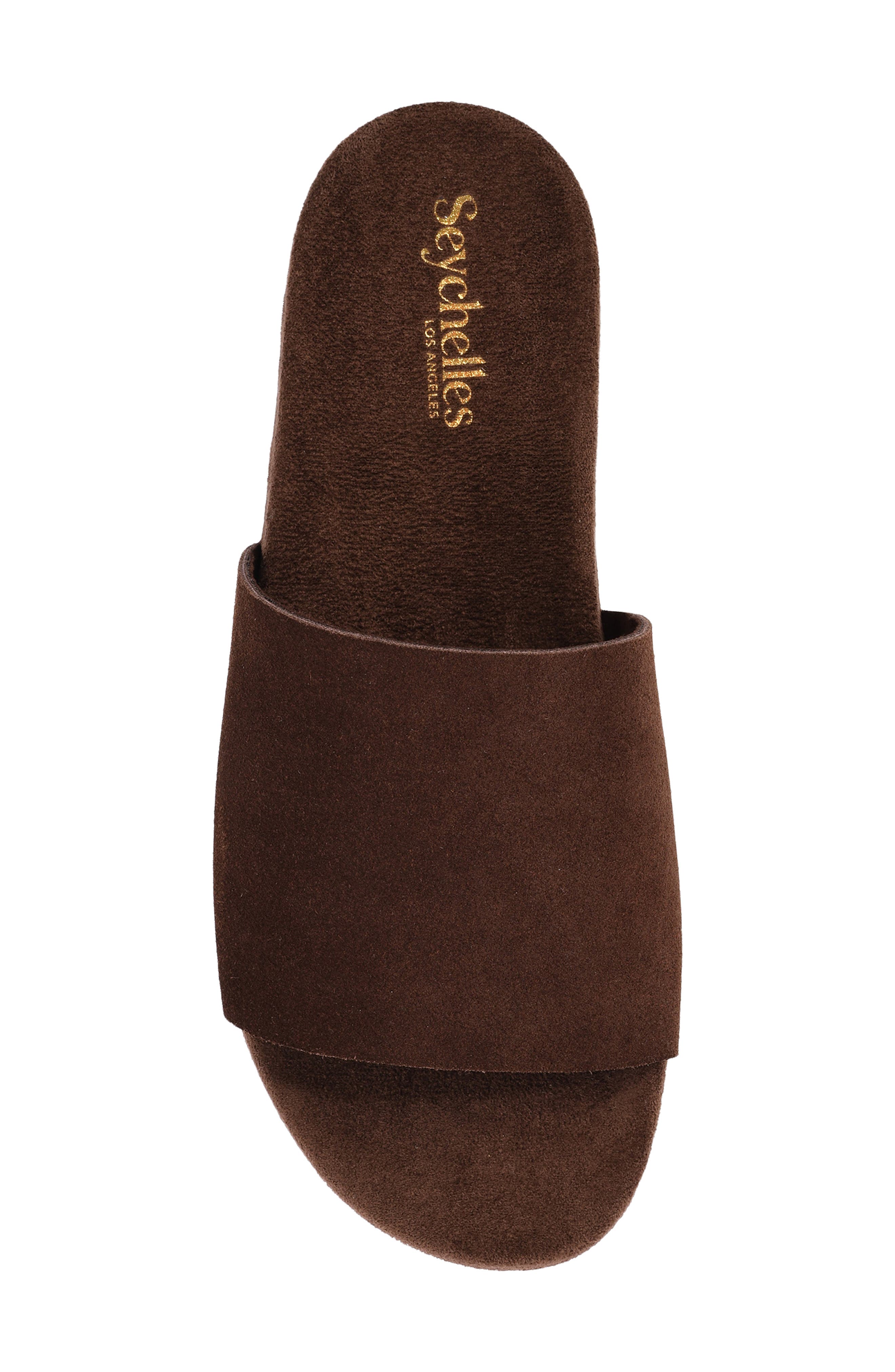 Bungalow Slide Sandal, Alternate, color, CHOCOLATE