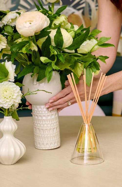 Agraria San Francisco Reed Diffuser In Green