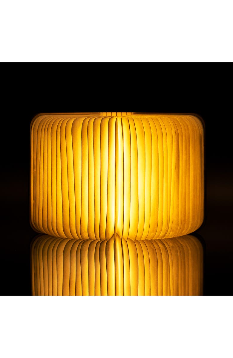 GINGKO Smart Book Light, Alternate, color, Large