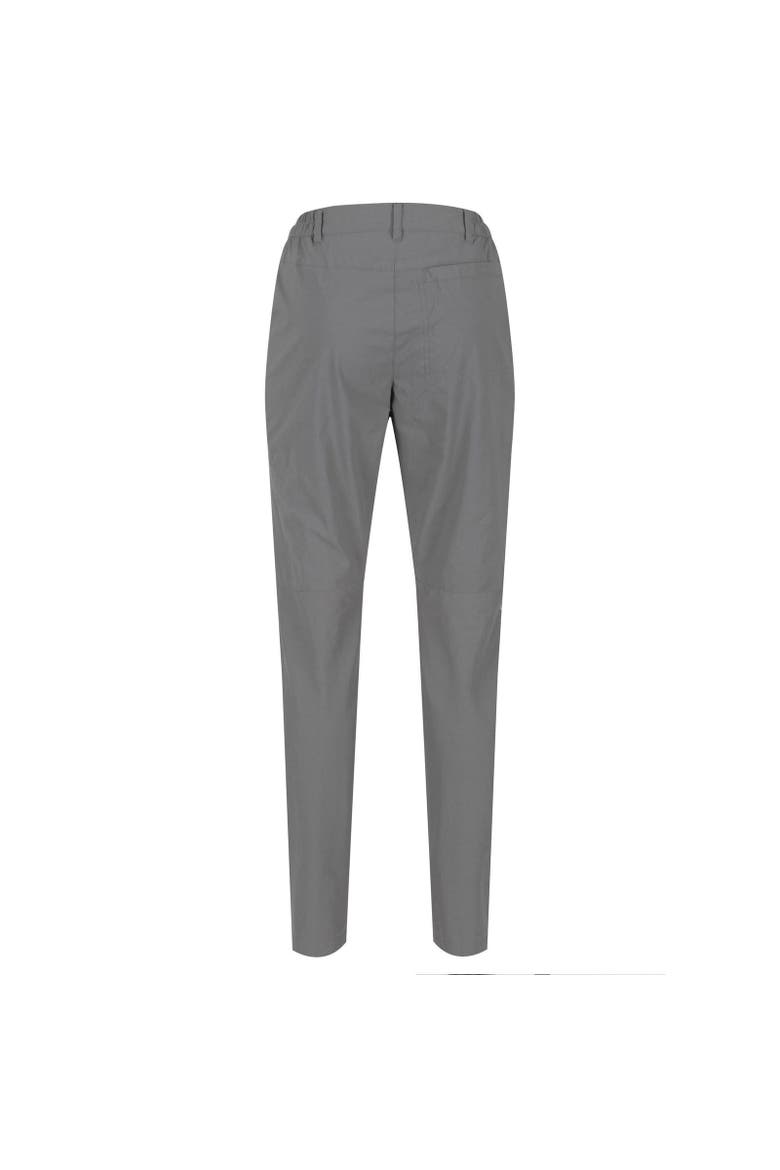 Highton Walking Pants, Alternate, color, Seal Gray