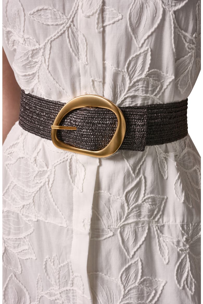 Embroidered Belted Sleeveless Dress, Alternate, color, CREAM