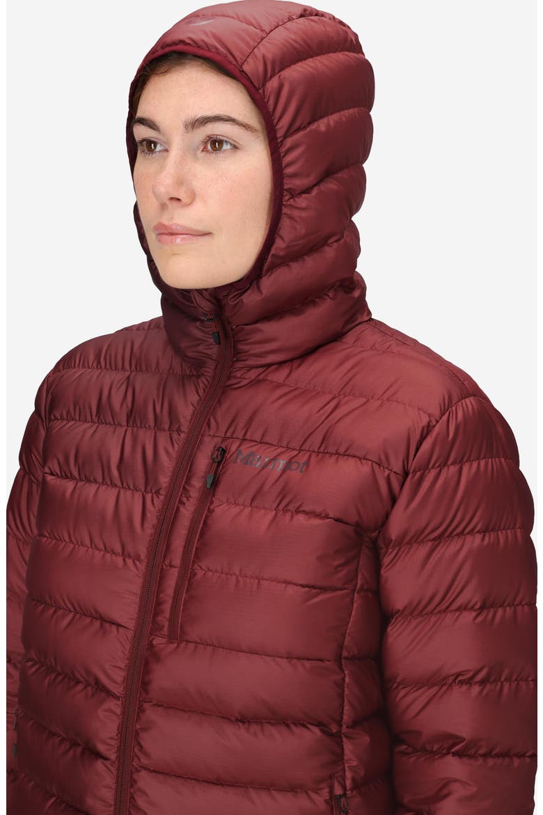 Highlander 700 Fill Power Down Hooded Jacket, Alternate, color, ACAI BERRY