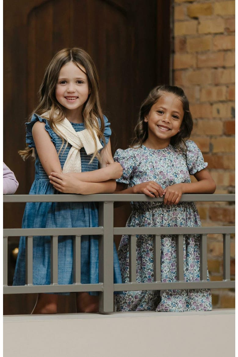 Girls' Organic Flutter Smocked Chambray Dress, Toddler, Alternate, color, Smocked Chambray