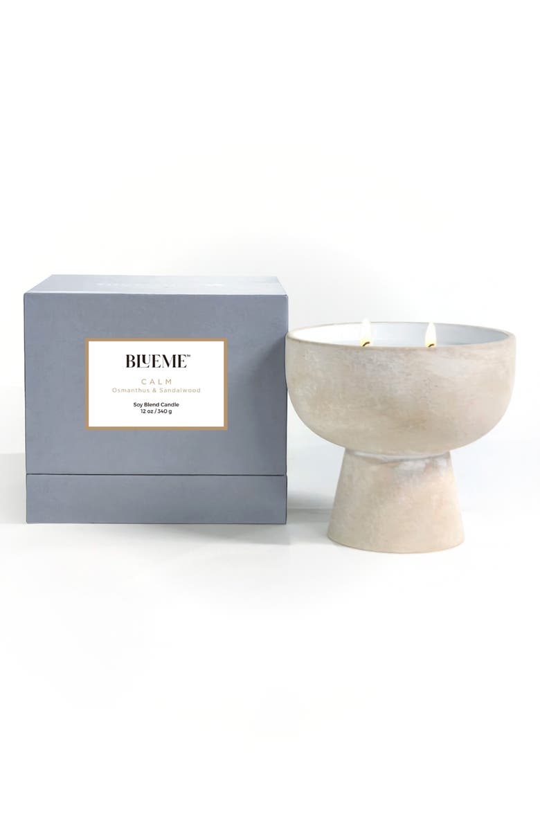 Blueme Calm Medium Ceramic Candle, Main, color, 
