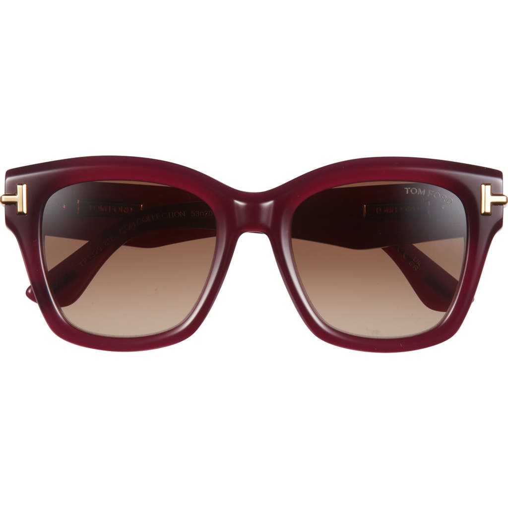 Tom Ford 53mm Gradient Butterfly Sunglasses