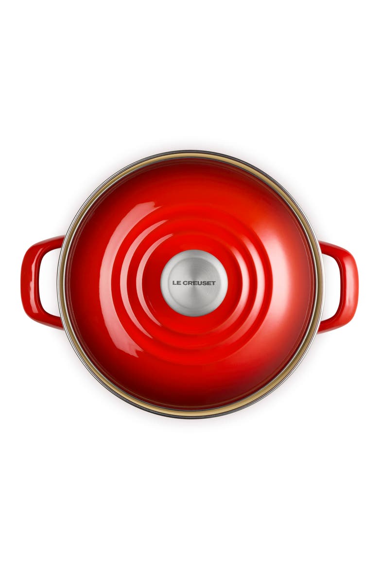 6-Quart Enameled Stainless Steel Stock Pot, Alternate, color, CERISE