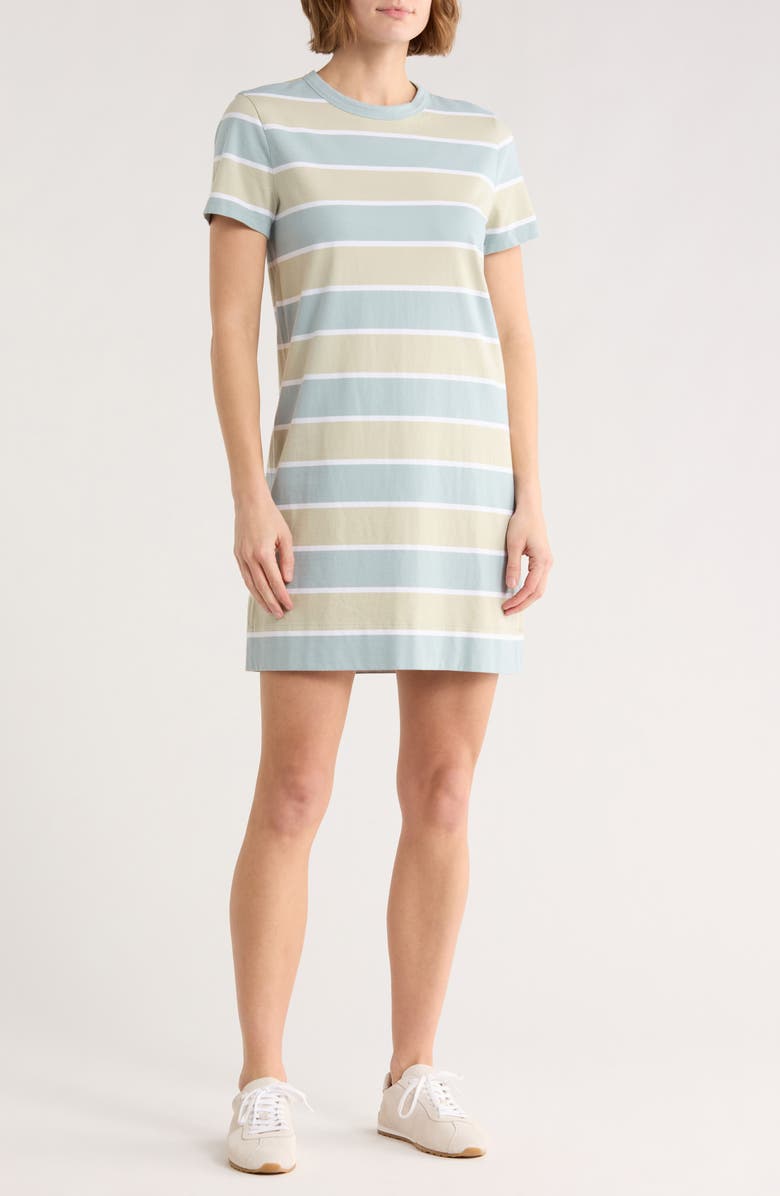 Madewell Short Sleeve Cotton T-Shirt Dress, Main, color, Dusty Celadon
