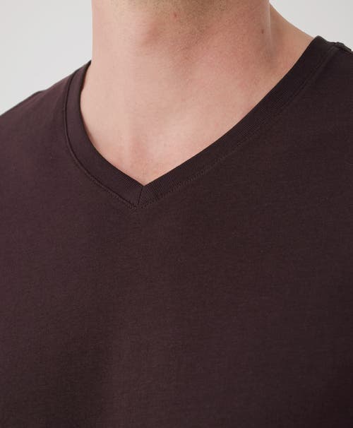 Pact Softspun Essential V-neck Tee In Multi