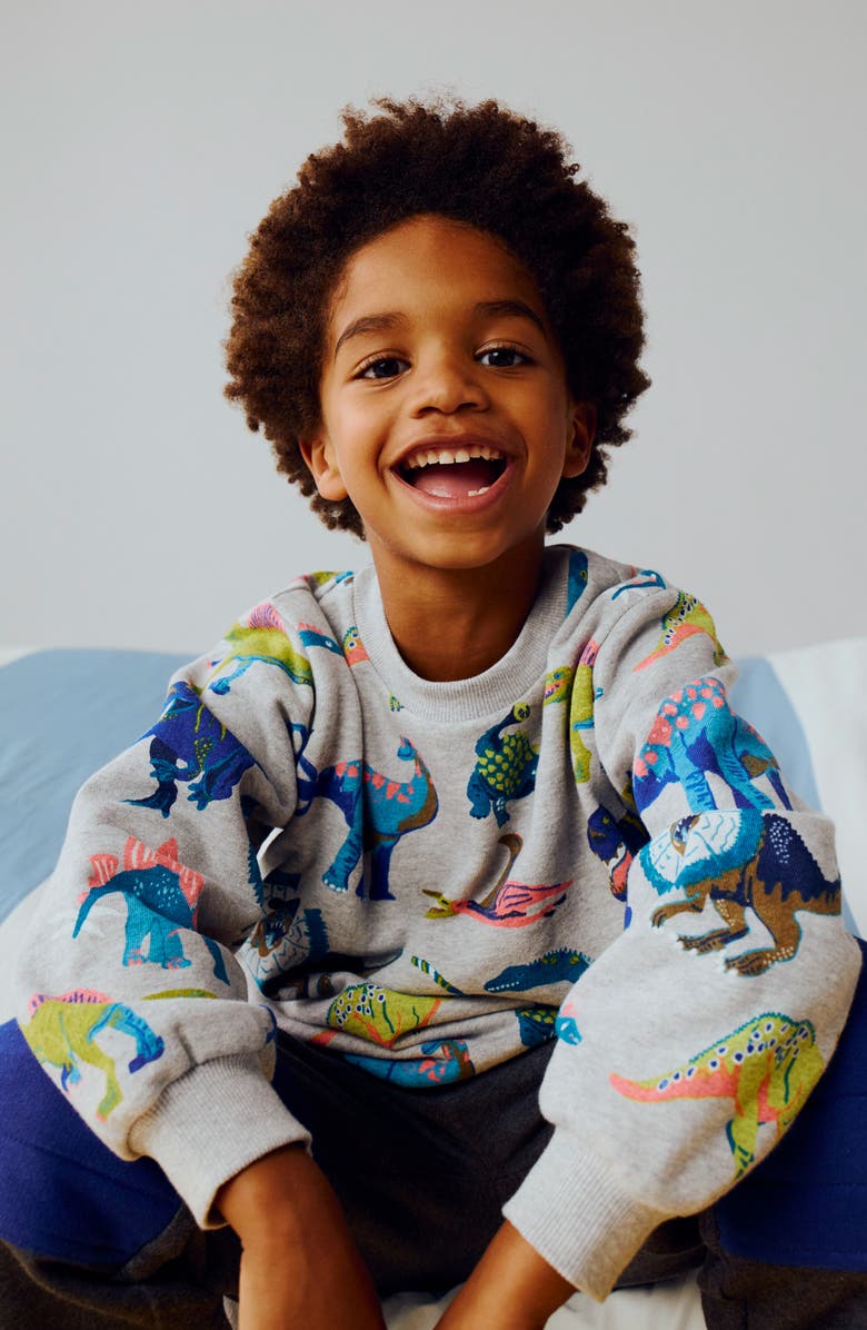 Mini Boden Kids' Dino Print Cotton Sweatshirt, Alternate, color, Grey Dinos