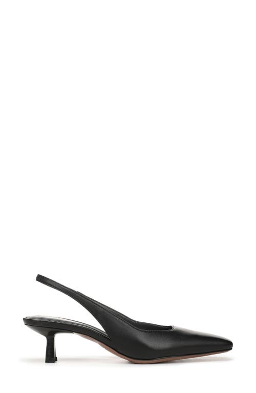 Sarto By Franco Sarto Raven Slingback Kitten Heel Pump