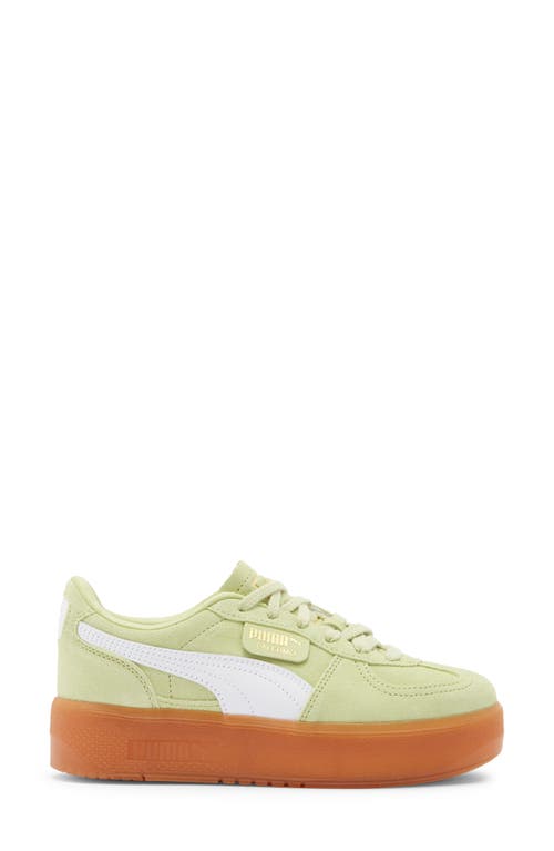 Puma Palermo Elevata Platform Sneaker