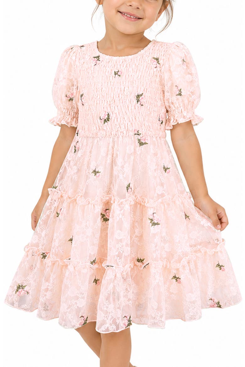 Kids' Floral Embroidered Lace Tiered Dress, Alternate, color, BLUSH