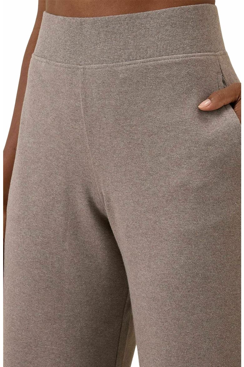 Organic Cotton Airplane Wide Leg Pant - 26" Inseam, Alternate, color, Deep Taupe Heather