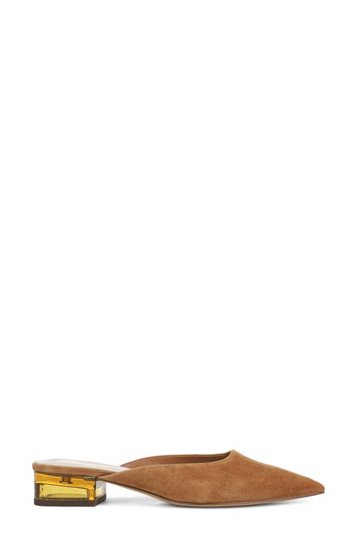 Sarto By Franco Sarto Bennet Pointed Toe Mule In Brown