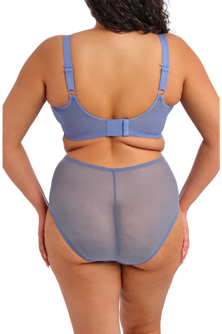 Matilda Full Figure Embellished Briefs, Alternate, color, LUNAR BLUE