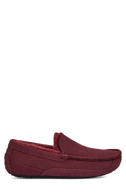 Ugg Ascot Slipper In Burgundy
