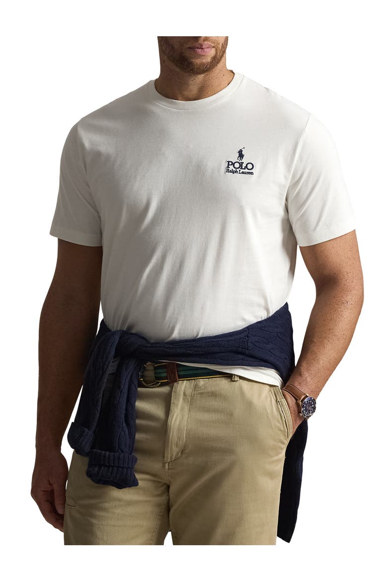 Big & Tall Script T-Shirt, Main, color, NEVIS