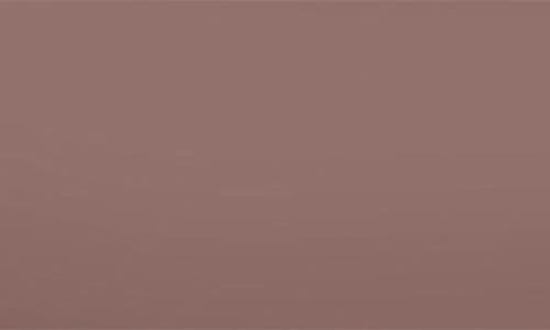 Zwilling Pure Stainless Steel 11" Fry Pan In Brown