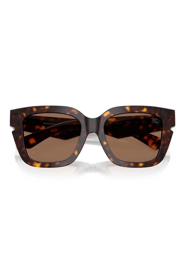 54mm Square Sunglasses, Alternate, color, DARK HAVANA/DARK BROWN