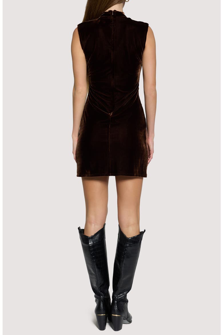 Woodland Hour Ruched Sleeveless Velvet Minidress, Alternate, color, BROWN