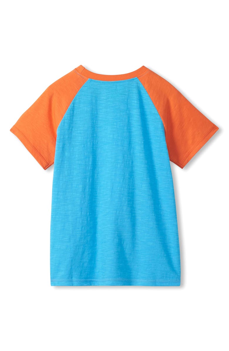 Hatley Kids' Shark Graphic T-Shirt, Alternate, color, Blue
