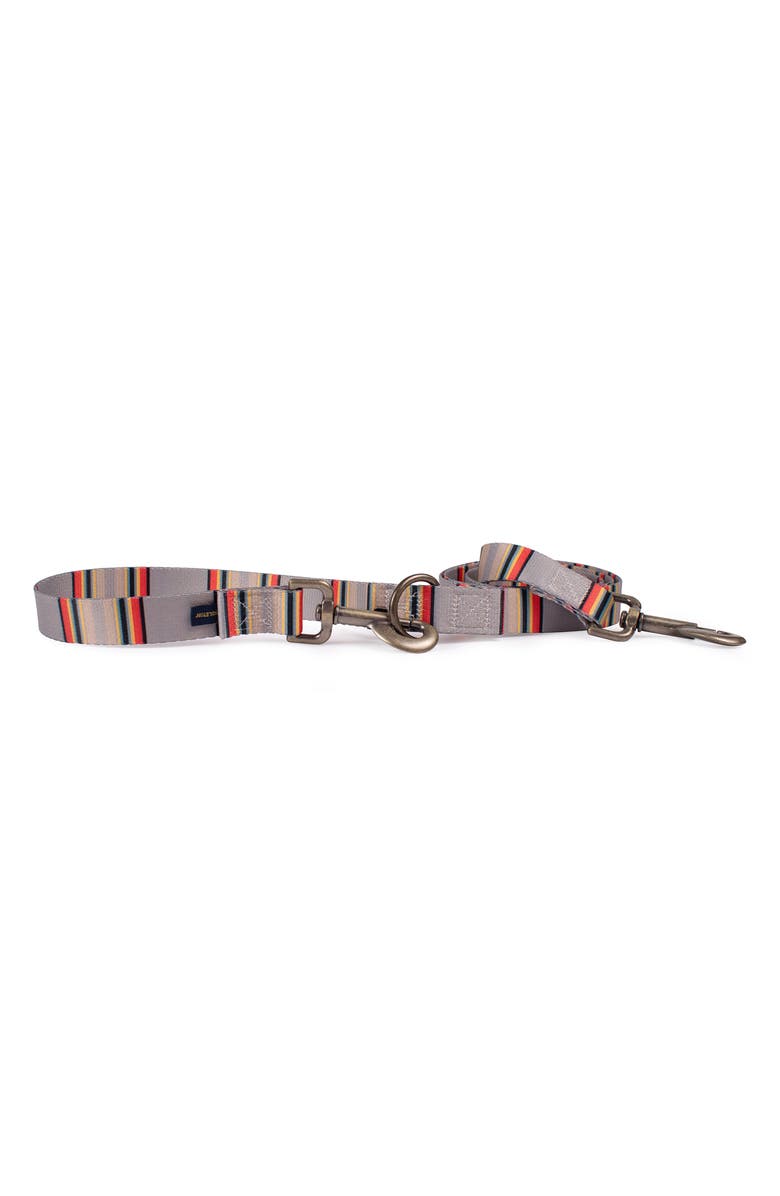 Pendleton Vintage Camp Adventure Leash, Main, color, Mineral Umber