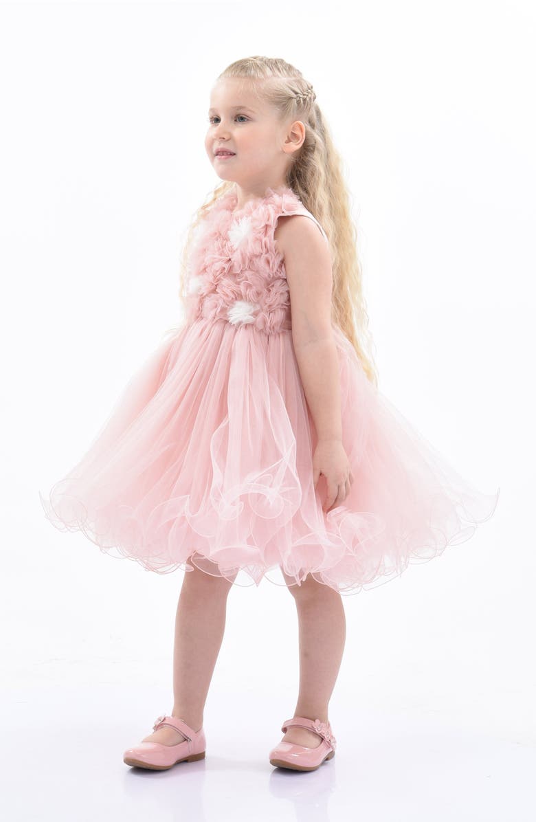 Tulleen Cambriana Dress, Alternate, color, Pink