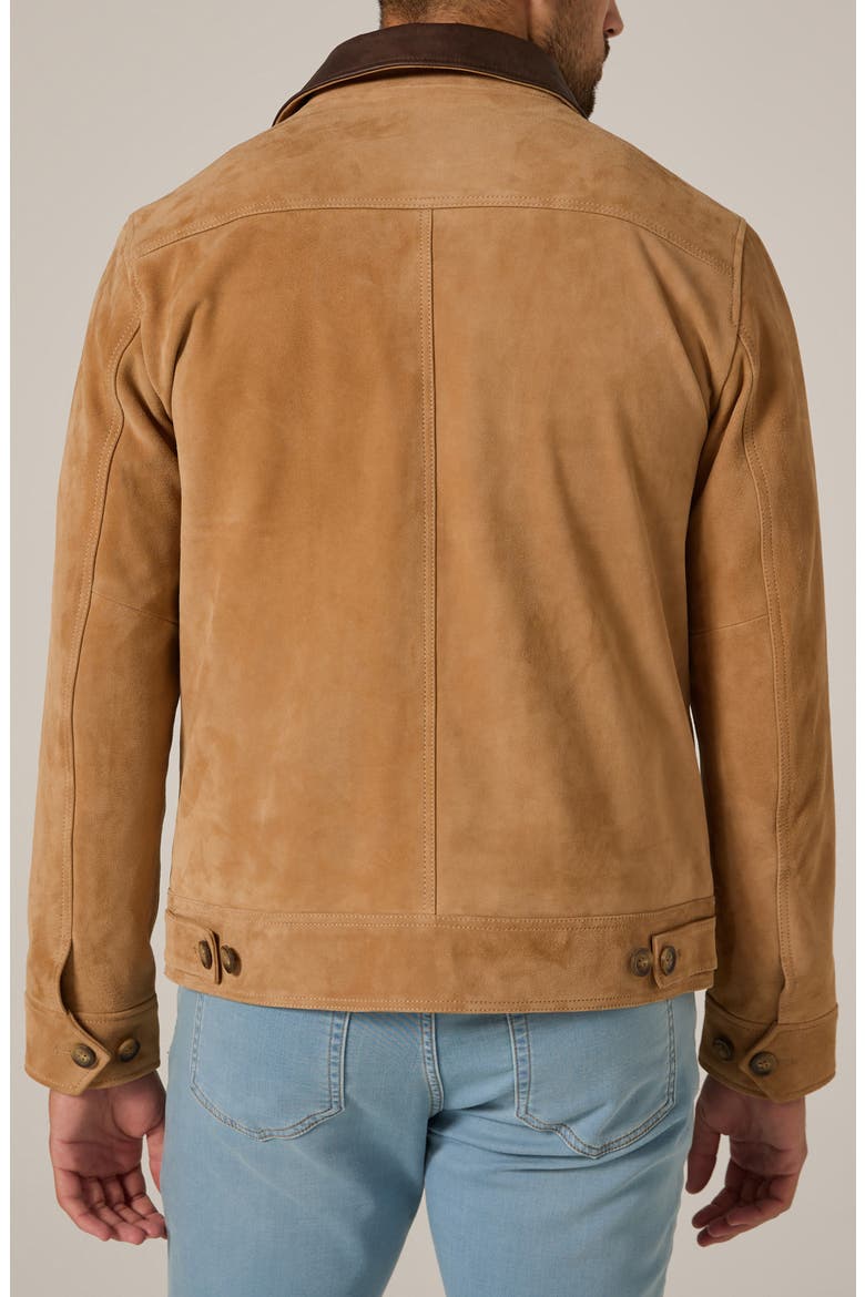 Maverick Suede Jacket, Alternate, color, TAN
