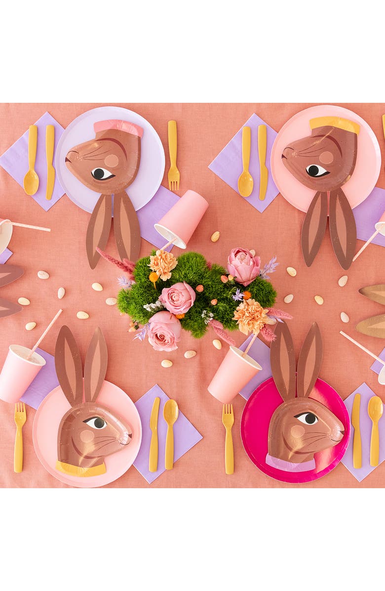 Jollity & Co Chocolate Bunny Dinner Plates, Alternate, color, Brown