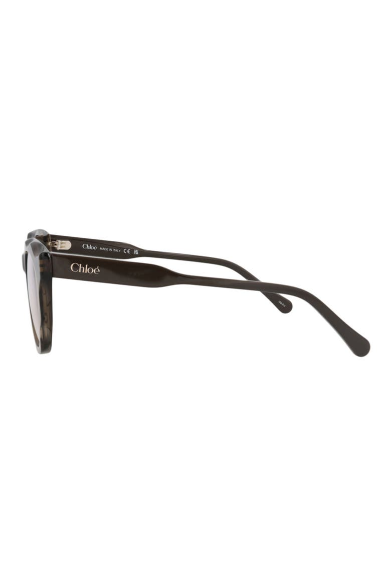 49mm Round Sunglasses, Alternate, color, BROWN BROWN TRANSPARENT
