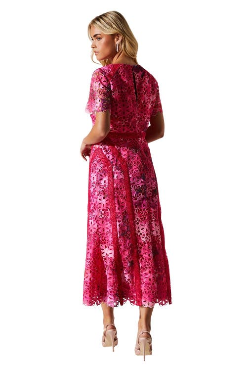 Coast Petite Printed Lace Midi Pencil Dress In Pink