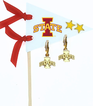 Color Shout Iowa State University  Pennant Pair Earring Set