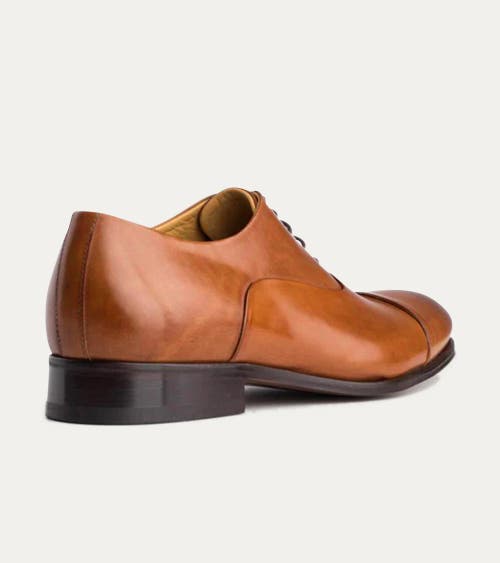 Ace Marks Griffin Cap Toe Oxford In Brown