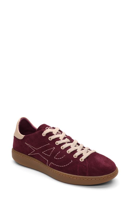 Ash Sunny Sneaker in Burgundy 