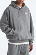 The North Face Evolution Hoodie