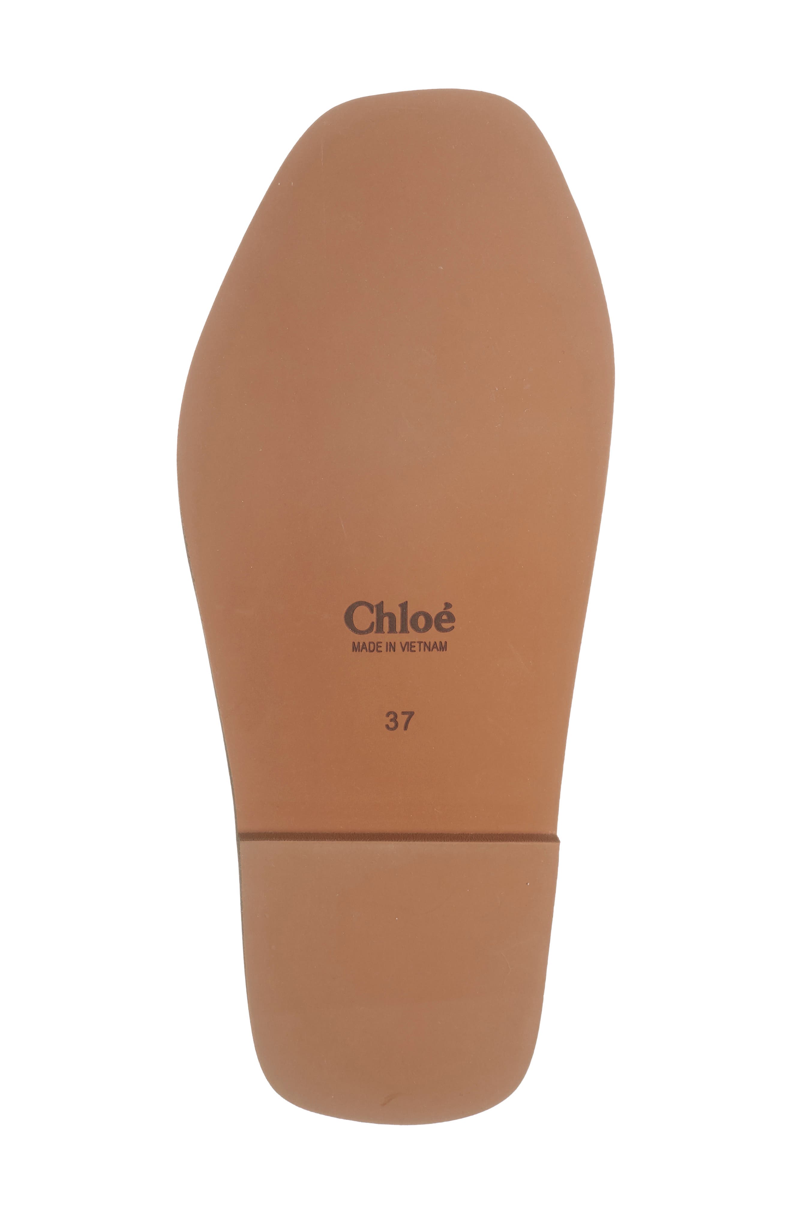 Chloé Woody Logo Slide Sandal, Alternate, color, 
