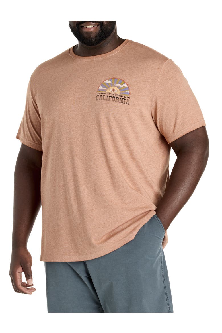 Big & Tall Cali Desert Music Graphic Tee, Main, color, SEIRRA