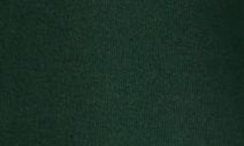 Hanes Ecosmart Fleece Hoodie In Green