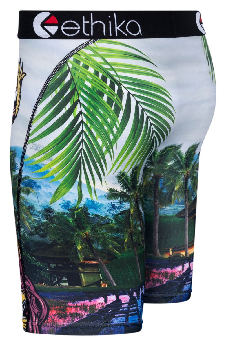 Ethika Kids' Primal Boxer Briefs, Alternate, color,