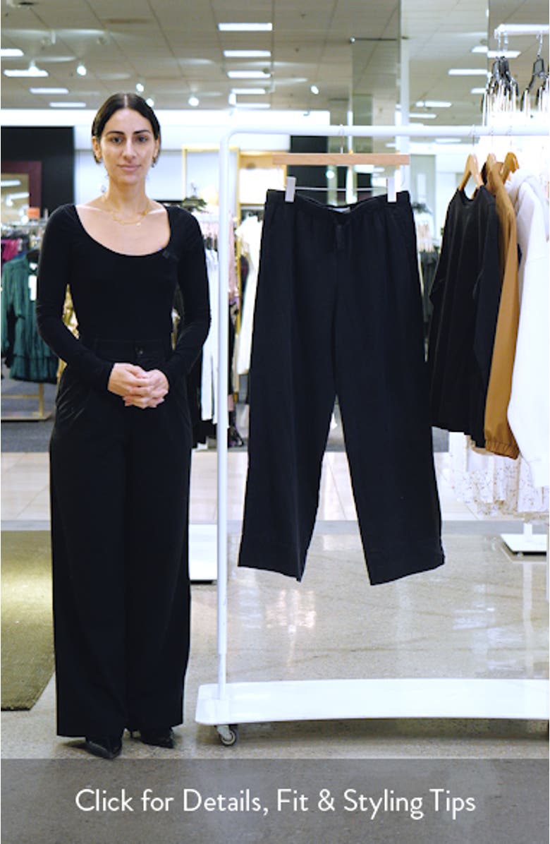 Riley Drapey Twill Wide Leg Pants, sales video thumbnail