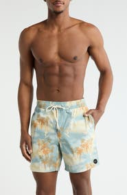 RVCA Men's Perry Swim Trunks