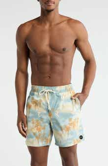 RVCA Men's Perry Swim Trunks