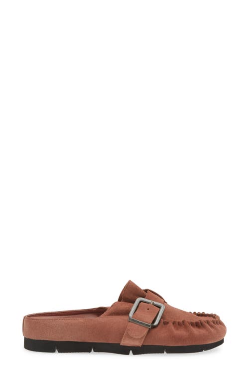 Free People After Riding Mule